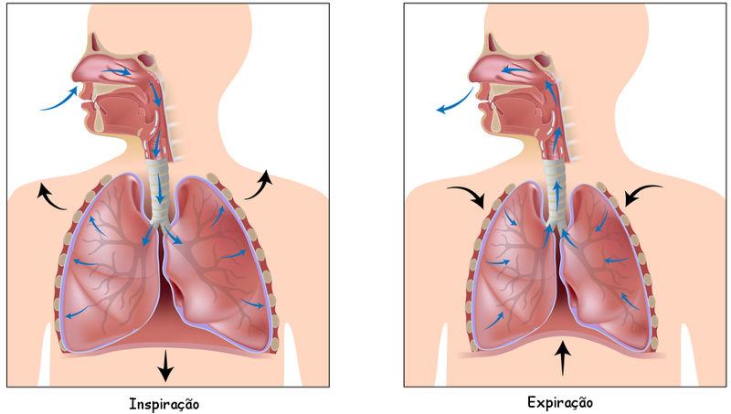 - Encontre inspiração e transformação com os melhores livros de desenvolvimento pessoal: leituras que vão mudar sua vida para melhor